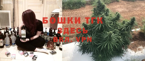 ГАЛЛЮЦИНОГЕННЫЕ ГРИБЫ Верея