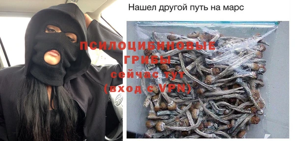 тгк Бронницы