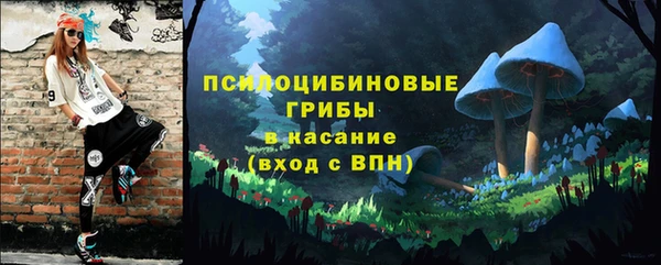 шишки Бугульма