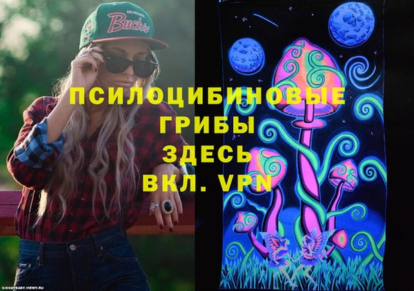 ГАЛЛЮЦИНОГЕННЫЕ ГРИБЫ Верея