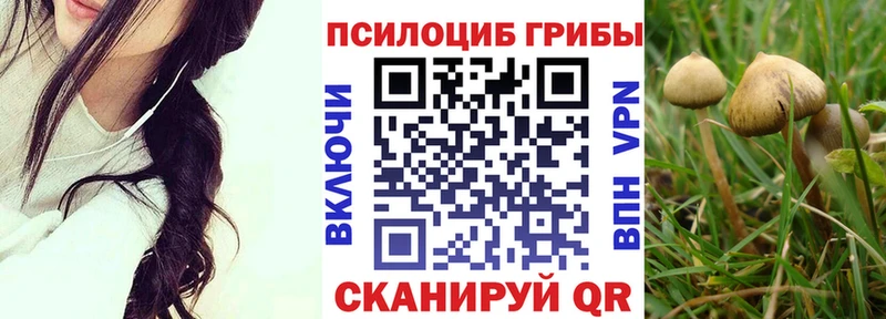 Псилоцибиновые грибы мицелий  Купить где  Моршанск 